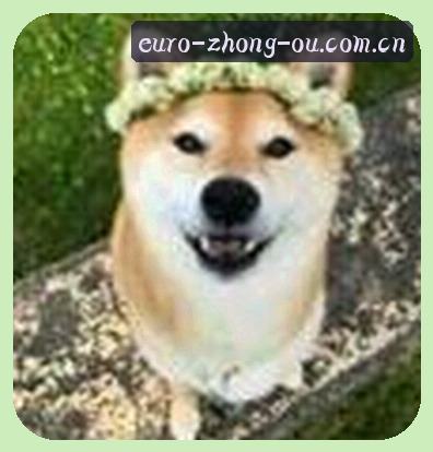 陈悦
